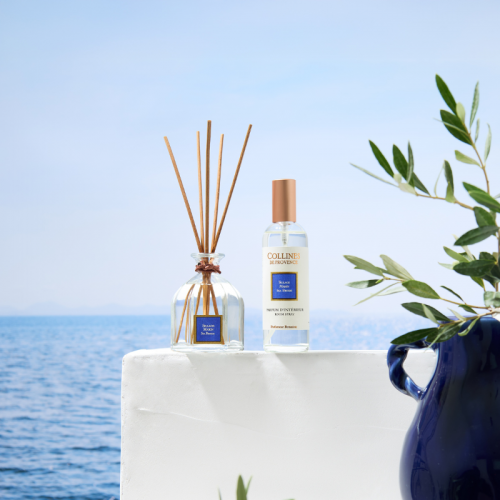 Sea Breeze Reed Diffuser 2
