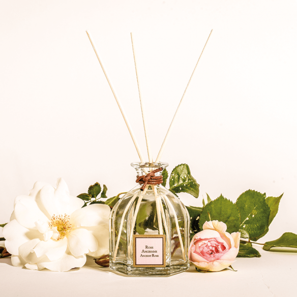 Bouquet Parfumé Rose Ancienne