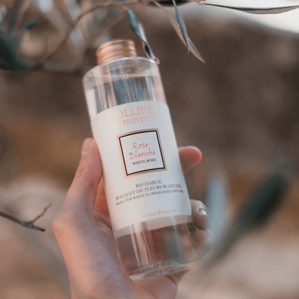 Recharge Bouquet Rose Blanche