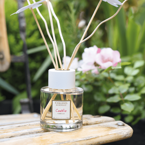 Camelia Reed Diffuser 2