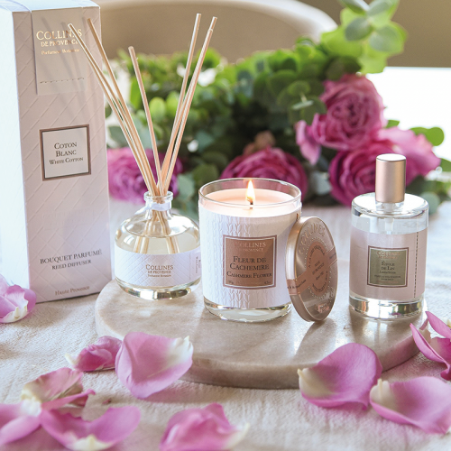 Bouquet Parfumé Coton Blanc