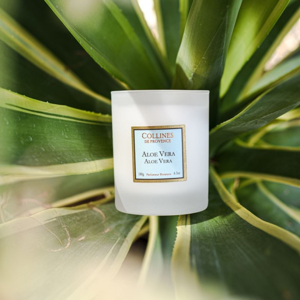 Bougie Parfumée Aloe Vera