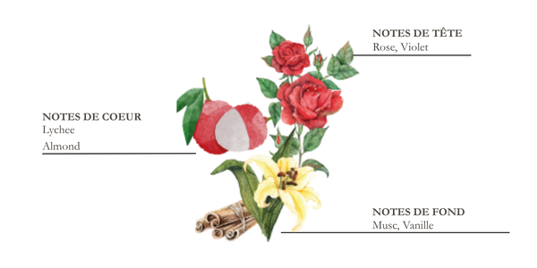 Dessin d'iris, cannelle et f&egrave;ve de tonka