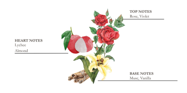 Dessin d'iris, de cannelle et de tonka