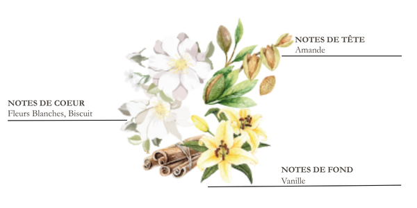 Dessin d'iris, cannelle et f&egrave;ve de tonka