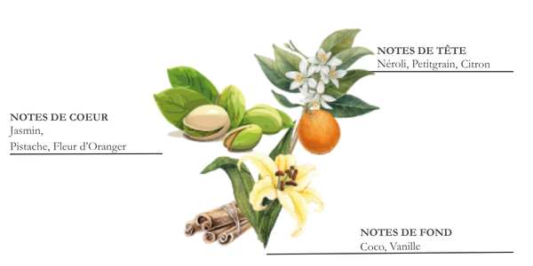 Dessin d'iris, cannelle et f&egrave;ve de tonka