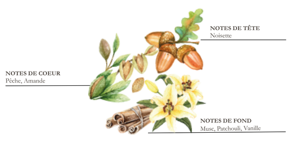 Dessin d'iris, cannelle et f&egrave;ve de tonka