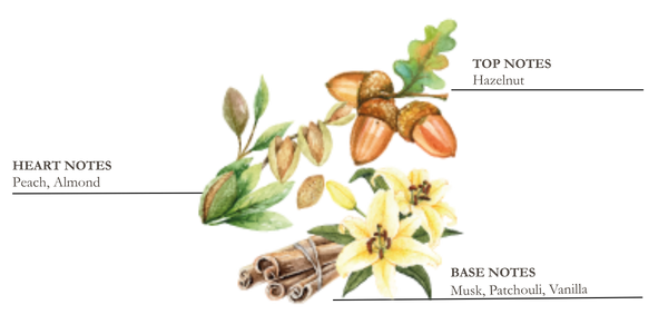 Dessin d'iris, de cannelle et de tonka