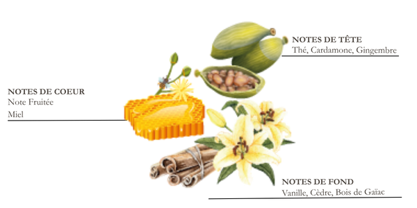 Dessin d'iris, cannelle et f&egrave;ve de tonka